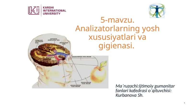 Analizatorlarning yosh xususiyatlari va gigienasi 1