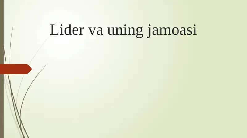 Lider va jamoa 1