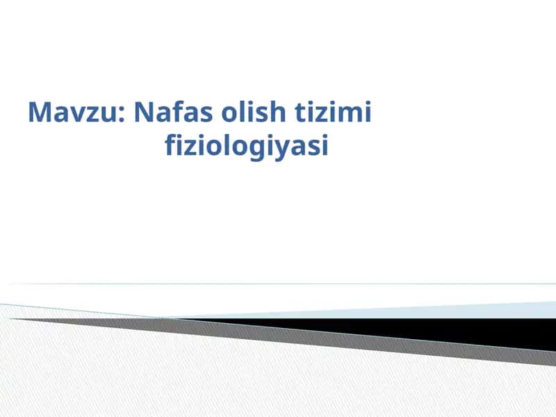Nafas olish tizimi fiziologiyasi. 1