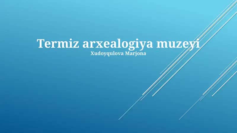 Termiz Arxeologiya Muzeyi 1