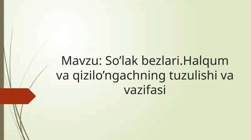 So’lak bezlari 1