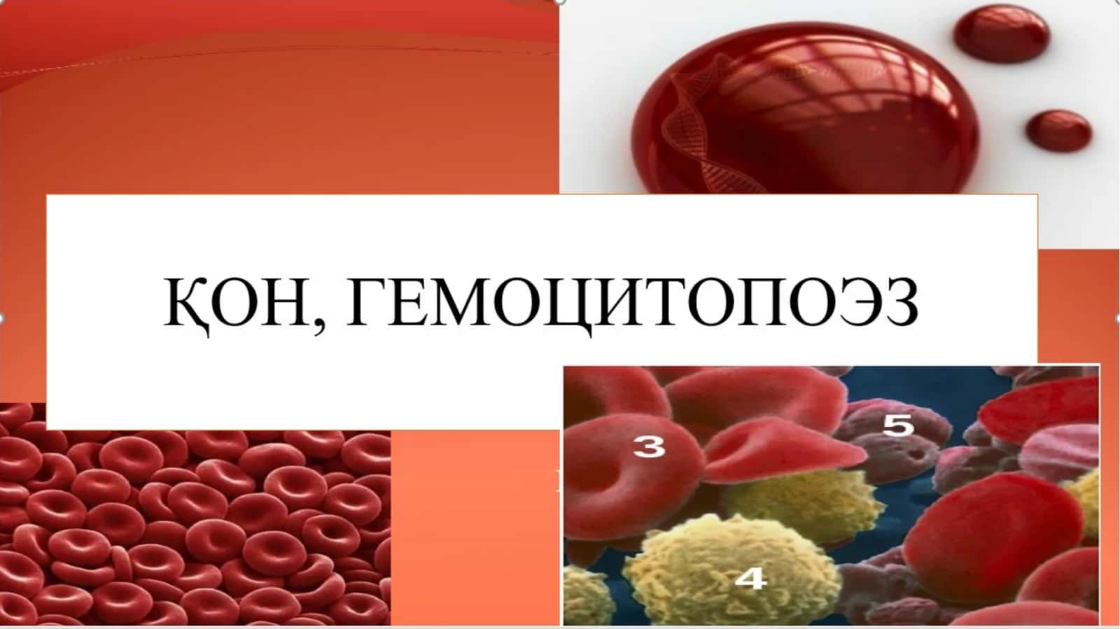 ҚОН-ИЧКИ МУХИТ ТЎҚИМАСИ 1