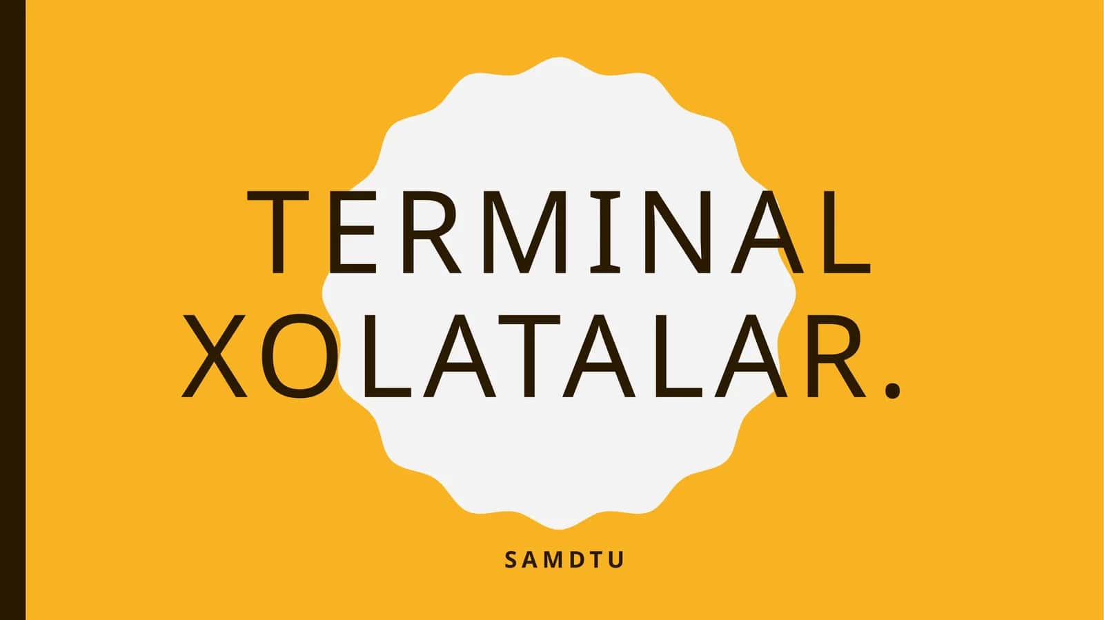 Terminal holatlar 1