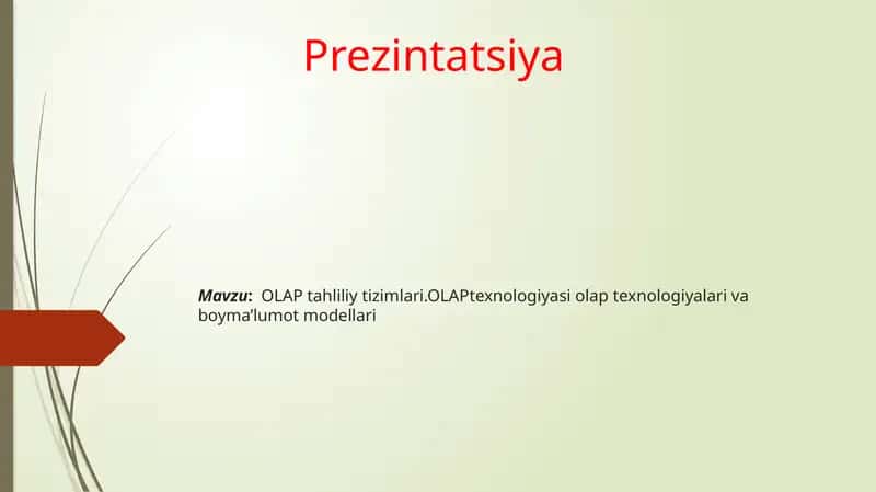 OLAP Tahliliy Tizimlari 1