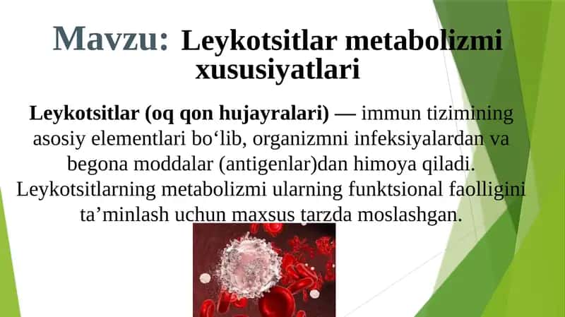 Leykotsitlar metabolizmi xususiyatlari 1