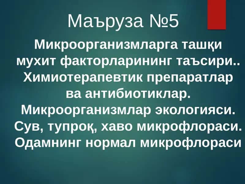 tashqi muhitni mikroorganizmlarga tasiri 1