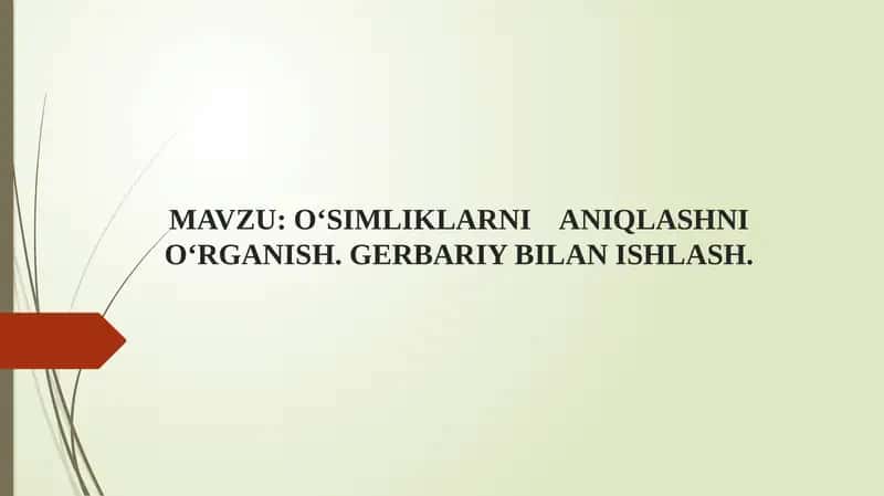 O‘simliklarni Aniqlashni O‘rganish. Gerbariy Bilan Ishlash 1
