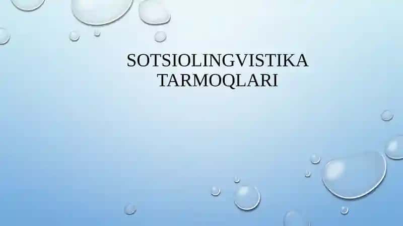 Sotsiolingvistika tarmoqlari