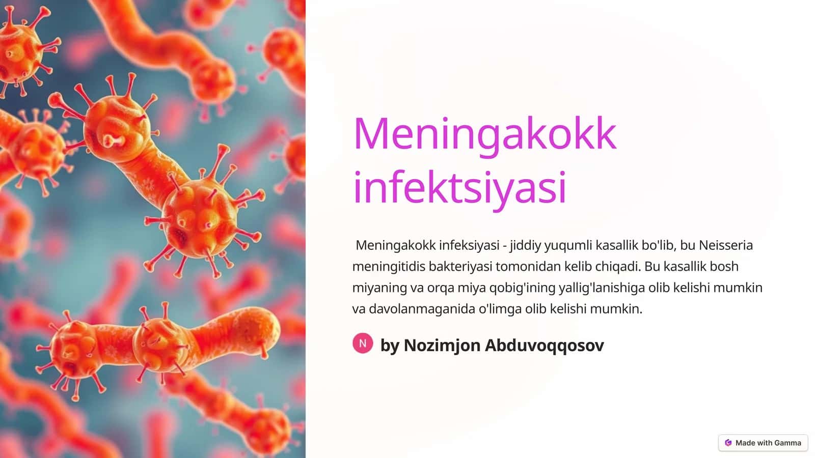 Meningakokk infektsiyasi 1