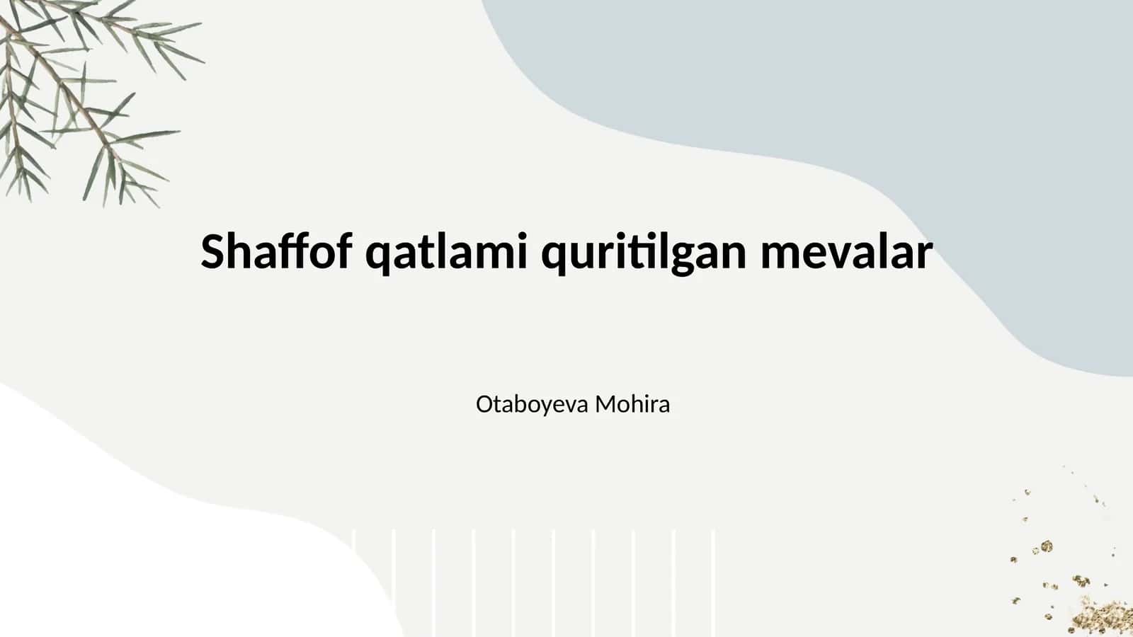 Shaffof qatlami quritilgan mevalar 1