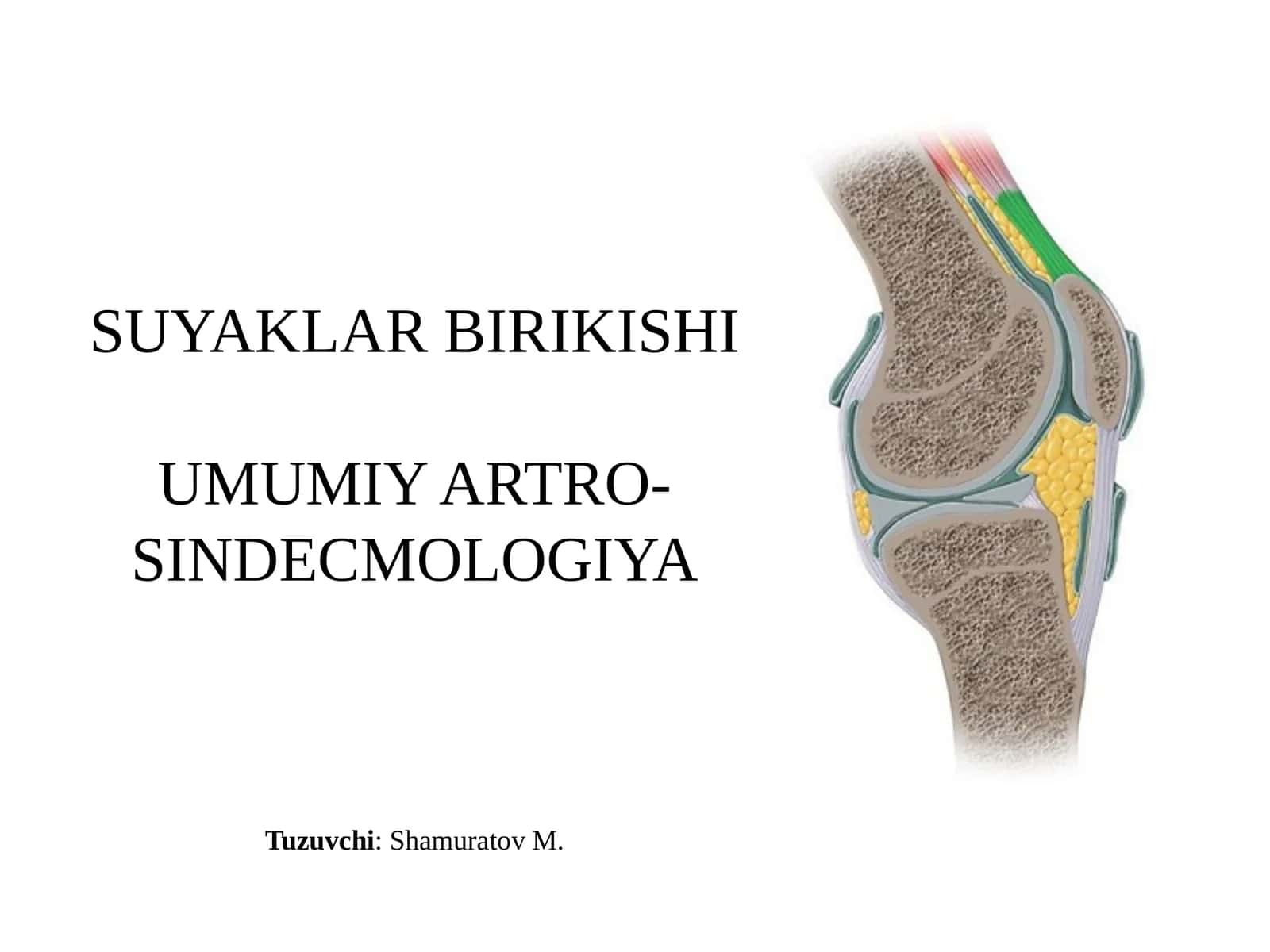 SUYAKLARBIRIKISHI 1