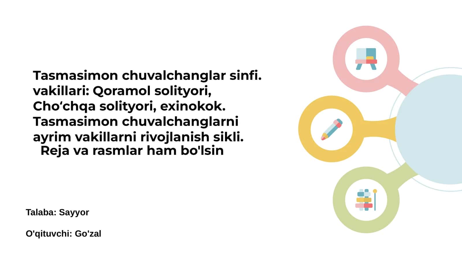 Tasmasimon chuvalchanglar sinfi 1
