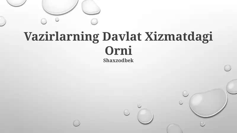 Davlat xizmatlaridagi oʻrni 1