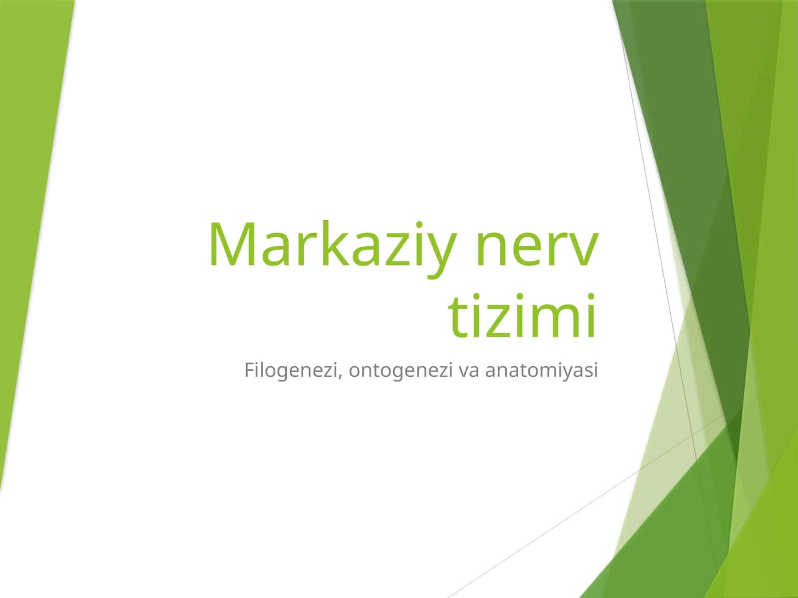 Markaziy nerv tizimi 1