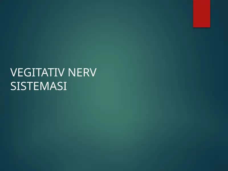 VEGITATIV NERV SISTEMASI 1