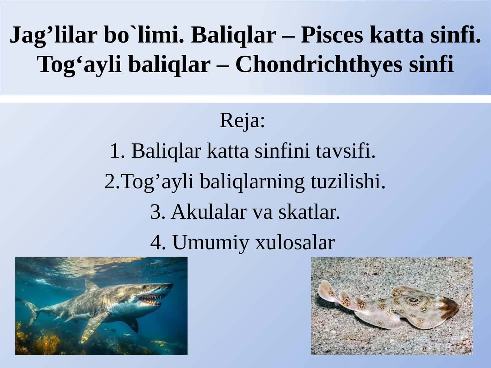 Baliqlar katta sinfi 1