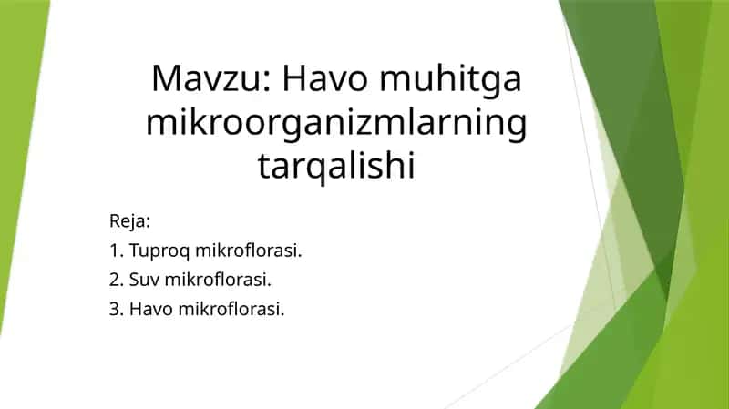 Tuproq mikroflorasi 1