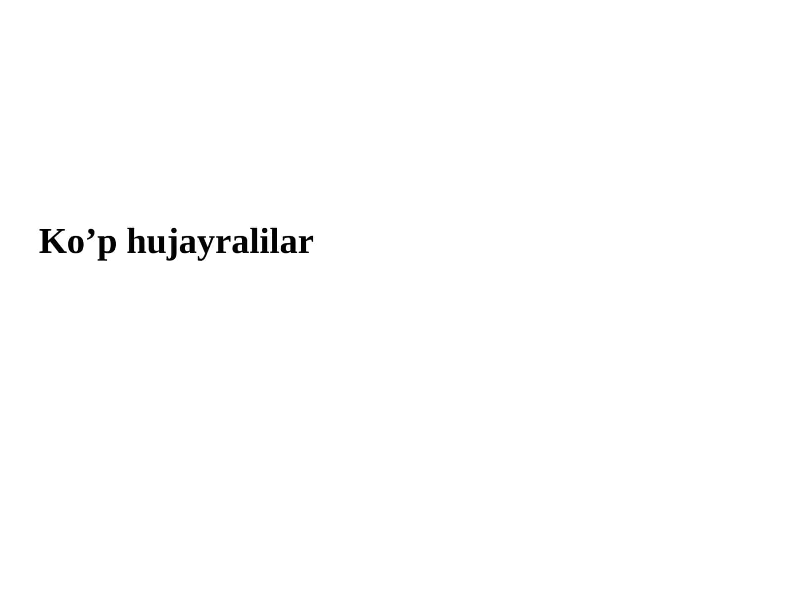 Ko’phujayralilar 1
