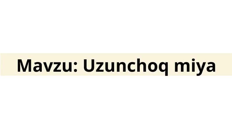 Uzunchoq miya taqdimot 1