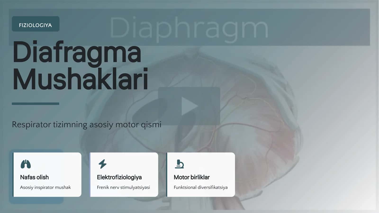 FIZIOLOGIYA 1