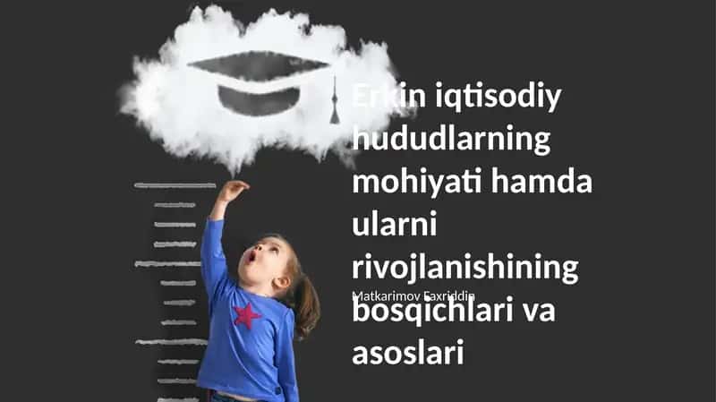 Erkin iqtisodiy zonalarning mohiyati 1