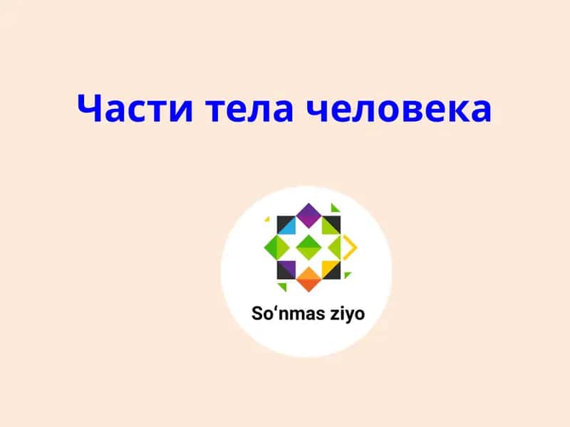 Части тела человека 1