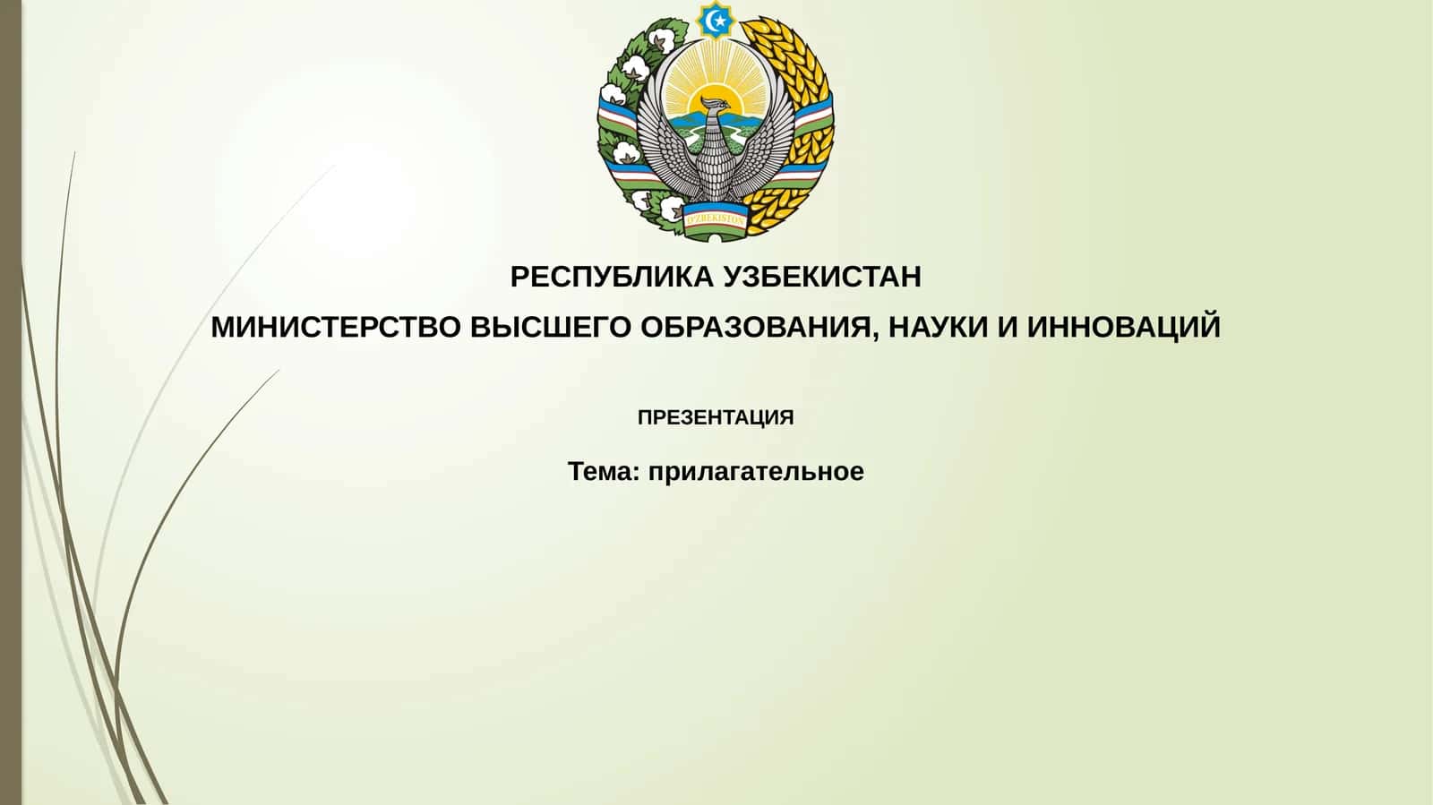 Прилагательное 1