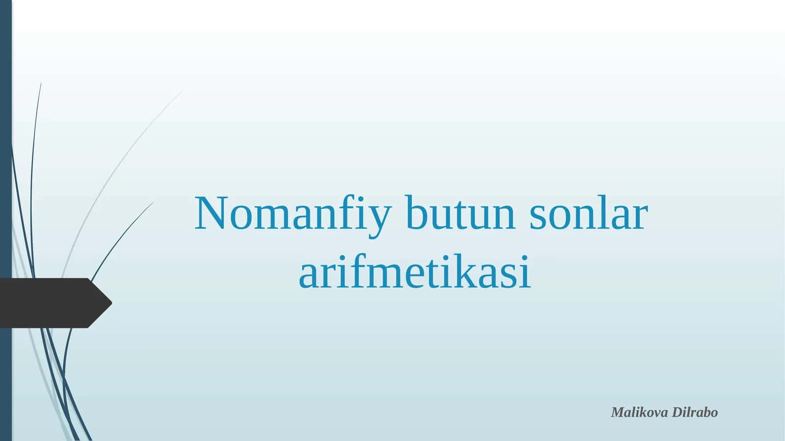 Nomanfiy butun sonlar arifmetikasi 1