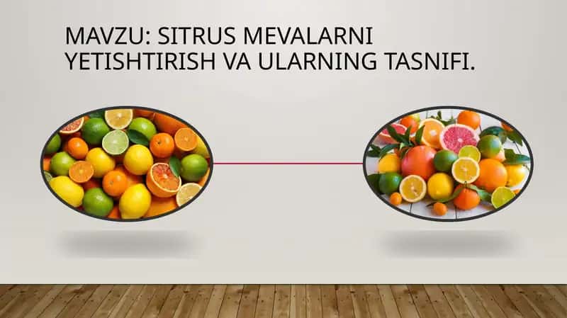 Sitrus mevalarni etishtirish vaularning tasnifi 1