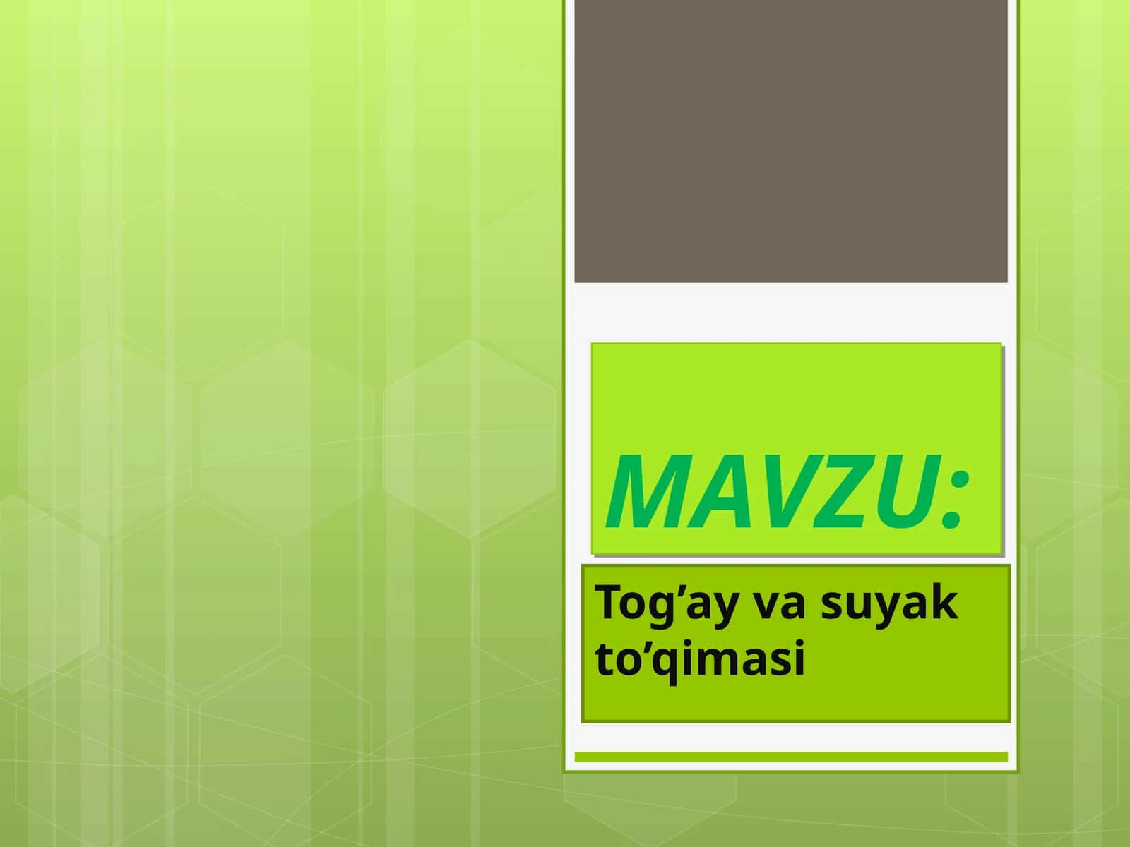 Tog’ay va suyak to’qimasi 1