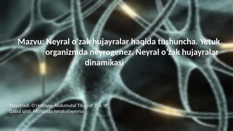 Neyralo’zakhujayralarhaqidatushuncha 1