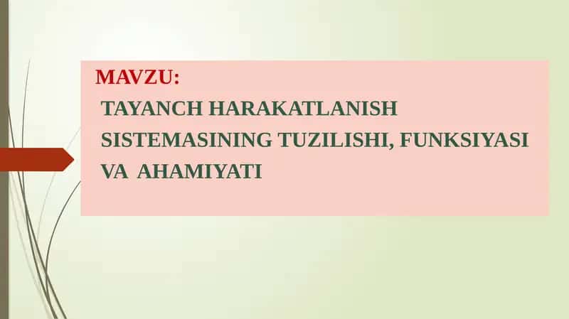 TAYANCH HARAKATLANISH SISTEMASI 1