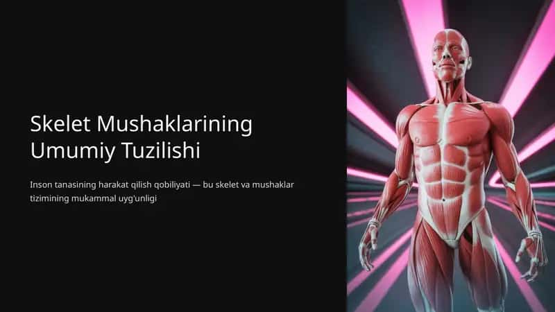 Skelet Mushaklarining Umumiy Tuzilishi 1