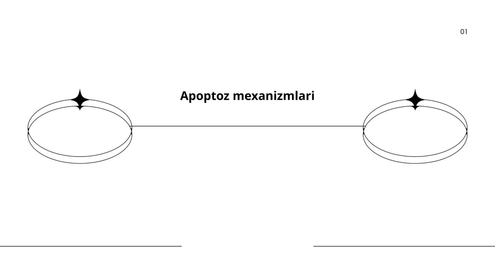 Apoptoz mexanizmlari 1