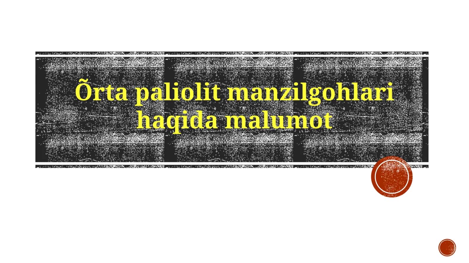O'rtapaleolit manzilgohlari haqida ma'lumot 1