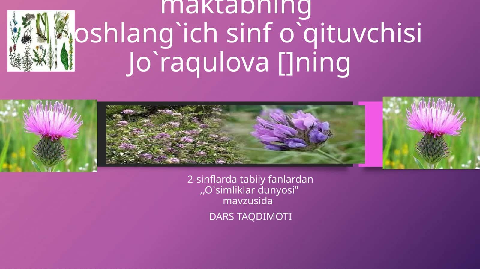 O`simliklar dunyosi 1