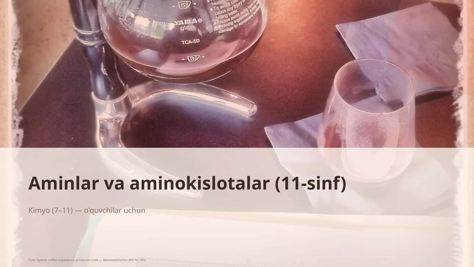 Aminlar va aminokislotalar (11-sinf) 1