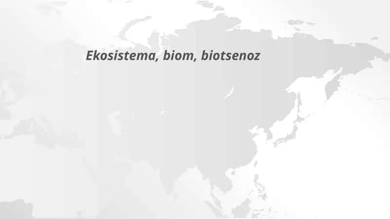 Ekosistema, biom, biotsenoz 1