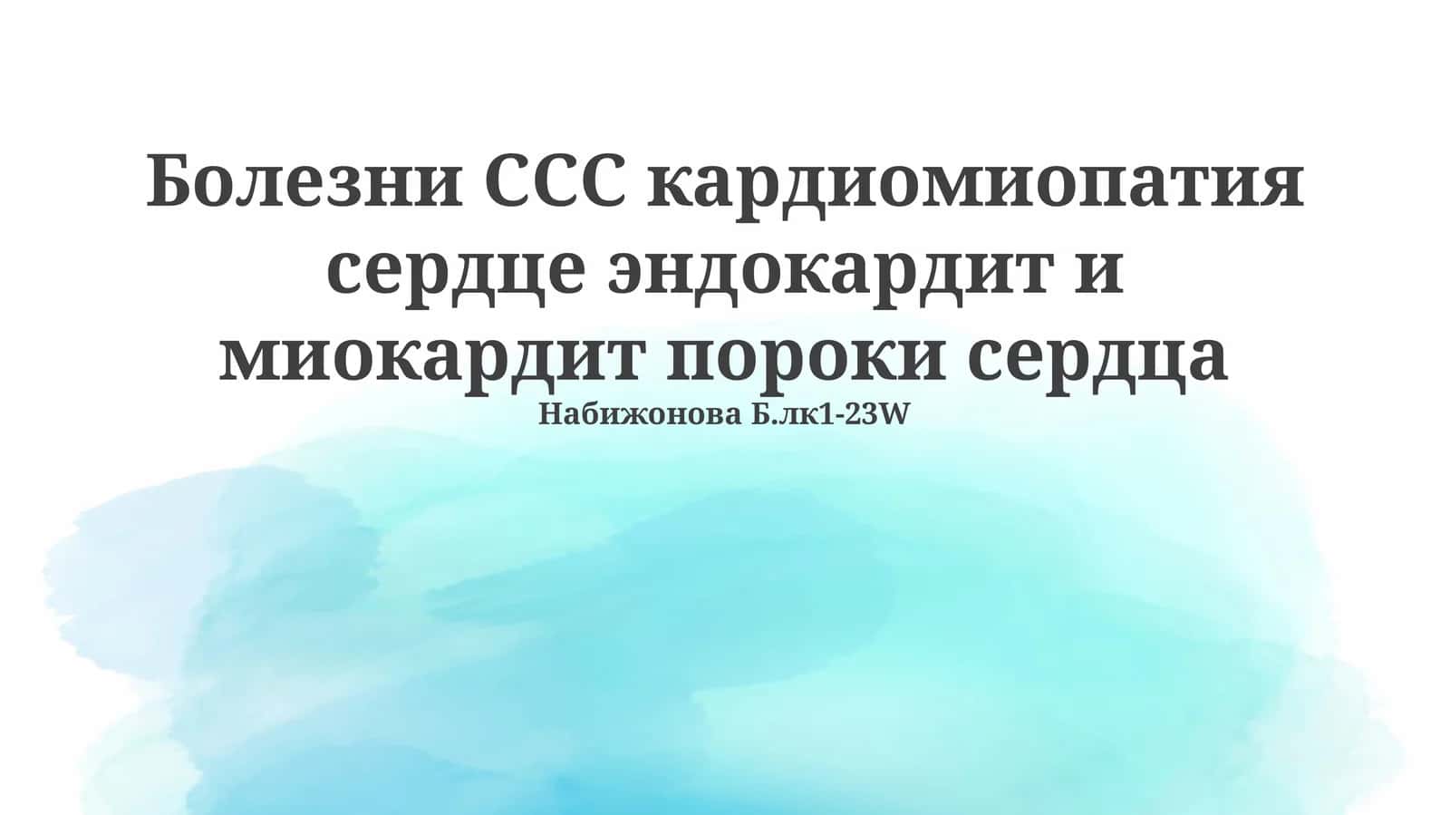 Набижонова Б.лк1-23W 1