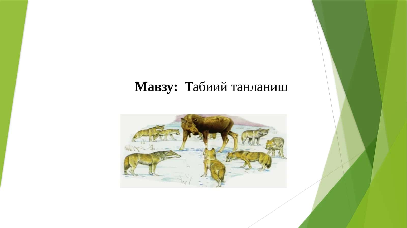 Табиий танланиш 1