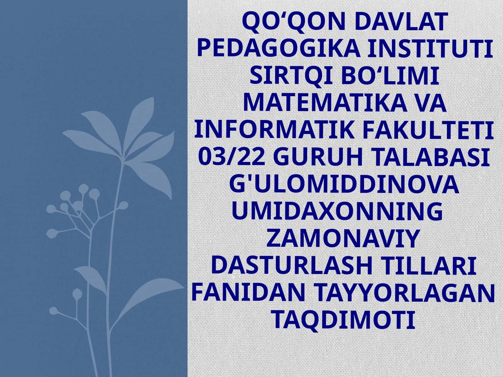 ZAMONAVIY DASTURLASHTIRISH TILLARI FANIDAN TAYYORLAGAN TAQDIMOTI 1