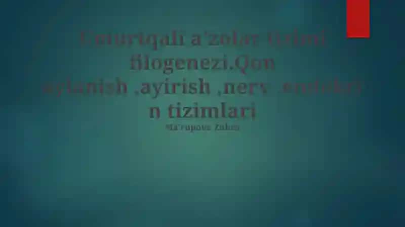 Umurtqali aʼzolar tizimi filogenezi