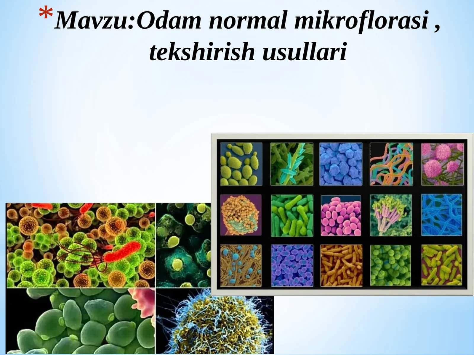 Odam normal mikroflorasi 1