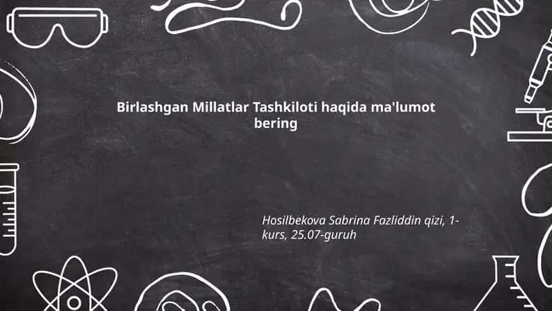 Birlashgan Millatlar Tashkiloti haqida ma'lumot 1