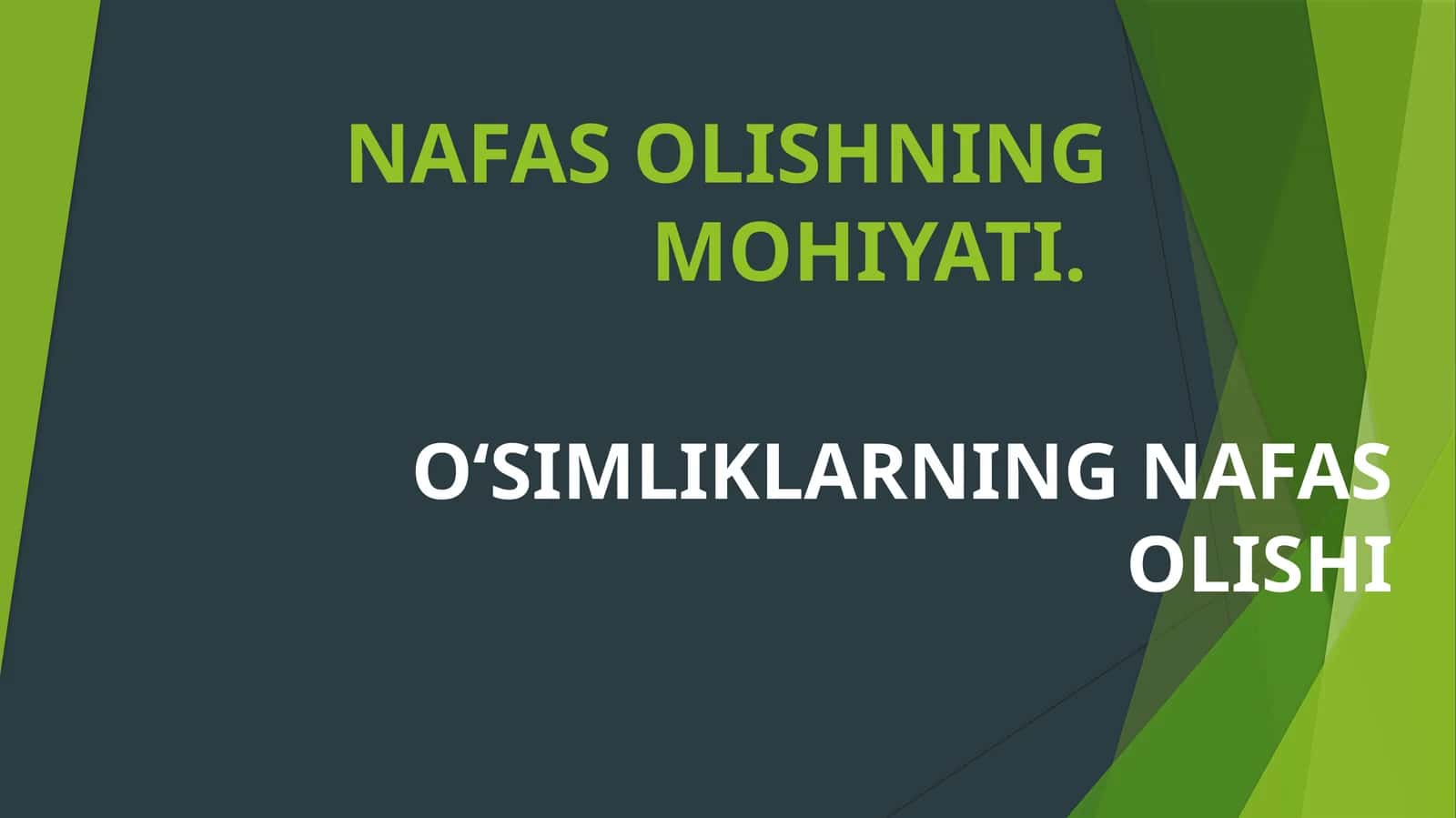 O‘SIMLIKLARNING NAFAS OLISHI 1