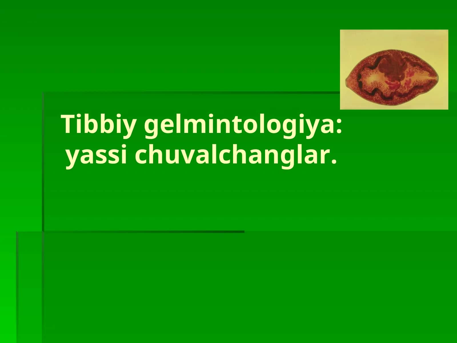 Tibbiy gelmintologiya:yassi chuvalchanglar 1