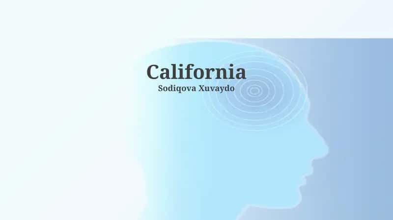 The California Story: Challenges, Opportunities, and the Future 1