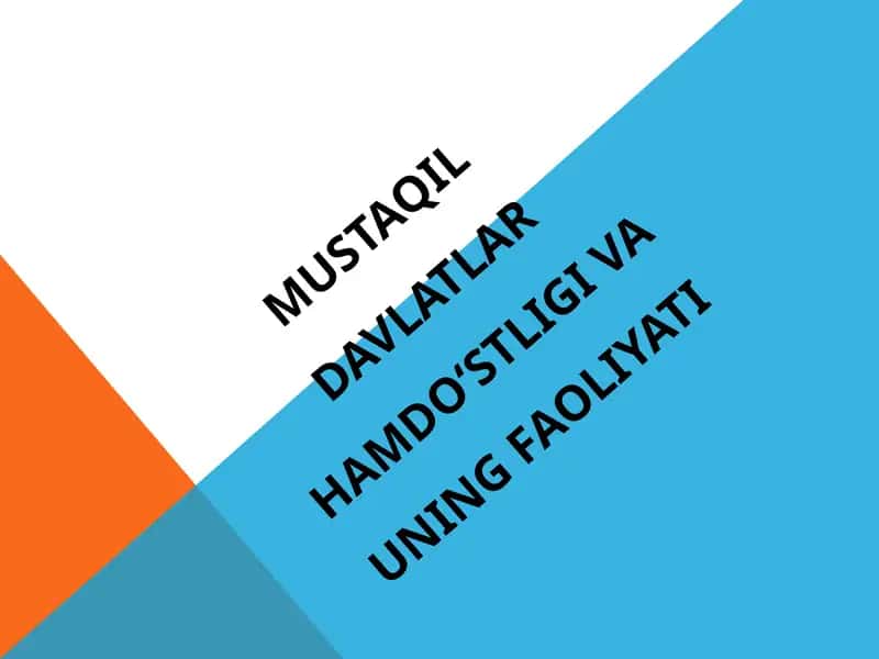 Mustaqil Davlatlar Hamdo‘stligi va uning faoliyati 1