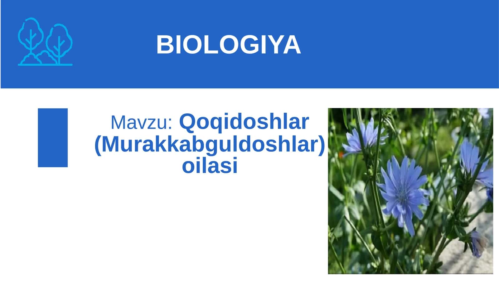 Qoqidoshlar 1