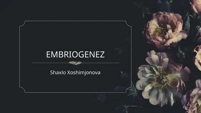 Prezintatsiya Embriogenez (Gistologiya) 1